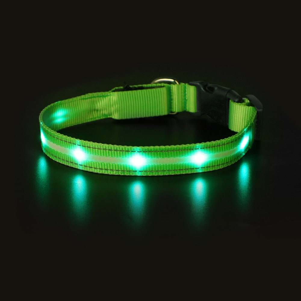 Pet LED Light-up & Blinking Collars, Rechargeable, Waterproof, 4 Sizes, 7 Colors