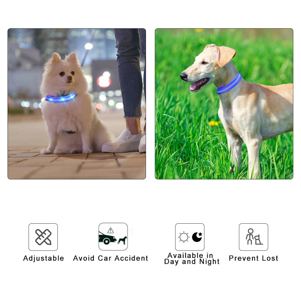 Pet LED Light-up & Blinking Collars, Rechargeable, Waterproof, 4 Sizes, 7 Colors