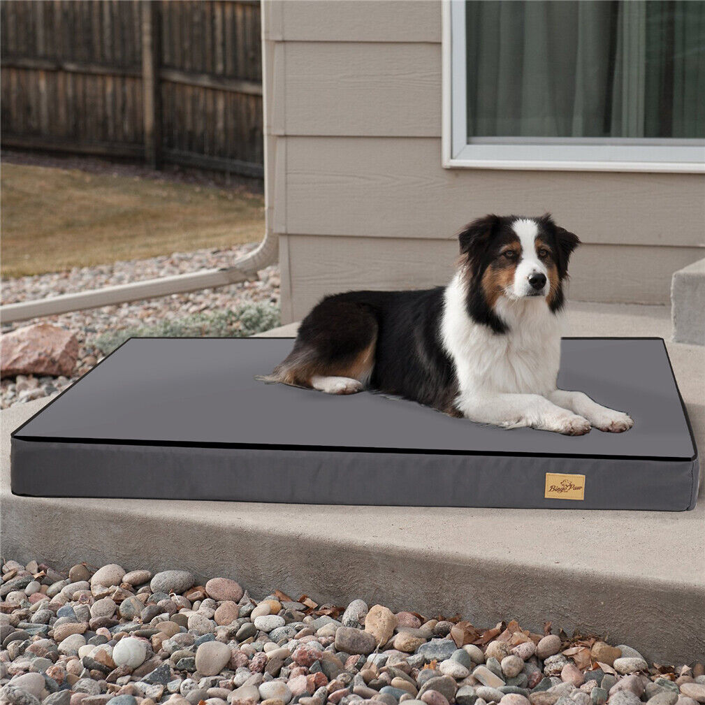 Orthopedic Pet Bed, Waterproof, Machine Washable Cover - mypreciousfurbabies