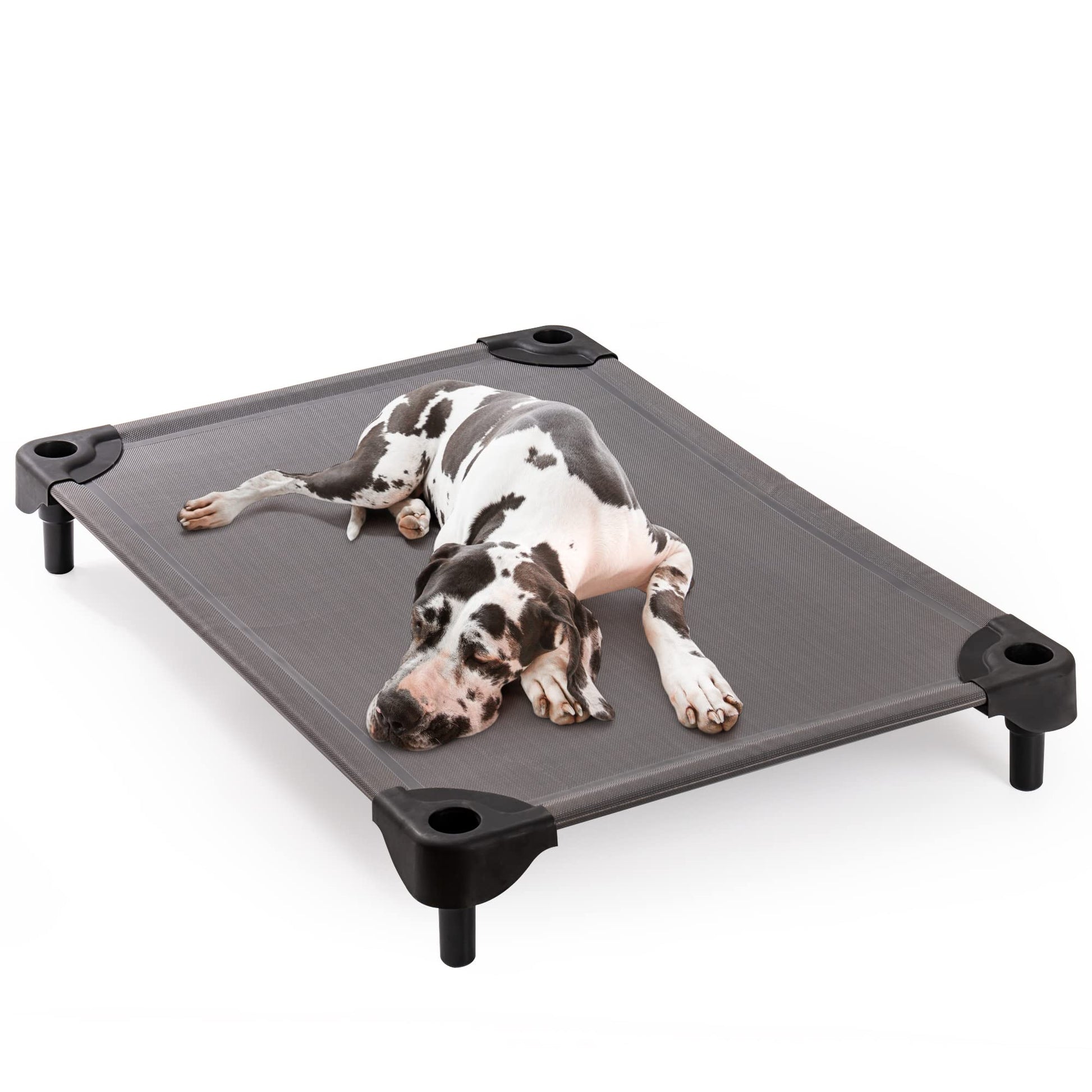 LG Indoor/Outdoor Elevated Dog Bed, Easy Clean, & Chew Proof - mypreciousfurbabies