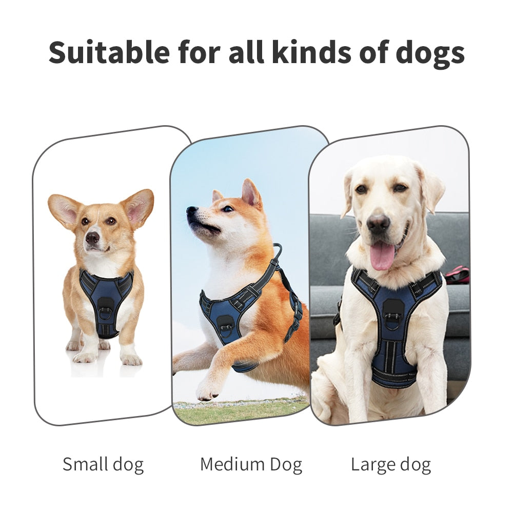 Pet Vest Harness, Soft Breathable, 4 Adj. Points, 4 Harnesses & Sizes, 3 Leashes