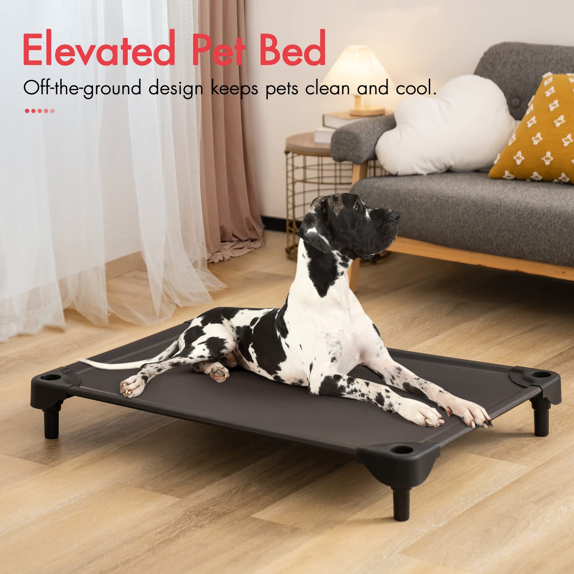 LG Indoor/Outdoor Elevated Dog Bed, Easy Clean, & Chew Proof - mypreciousfurbabies