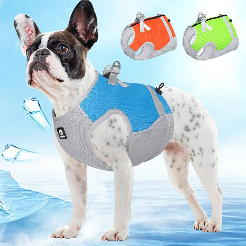 Dog Cooling Vest Comfortable, Breathable, and Easy To Use