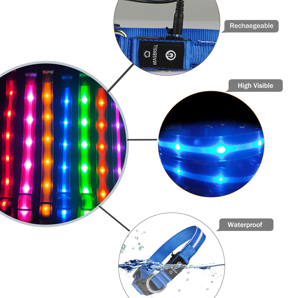 Pet LED Light-up & Blinking Collars, Rechargeable, Waterproof, 4 Sizes, 7 Colors