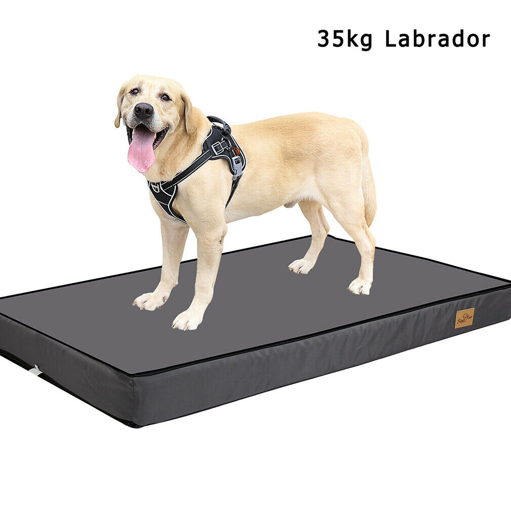 Orthopedic Pet Bed, Waterproof, Machine Washable Cover - mypreciousfurbabies