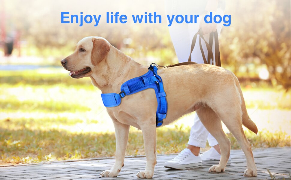 Pet Vest Harness, Soft Breathable, Easy Attach w/4 Adj. Points, 3 Sizes