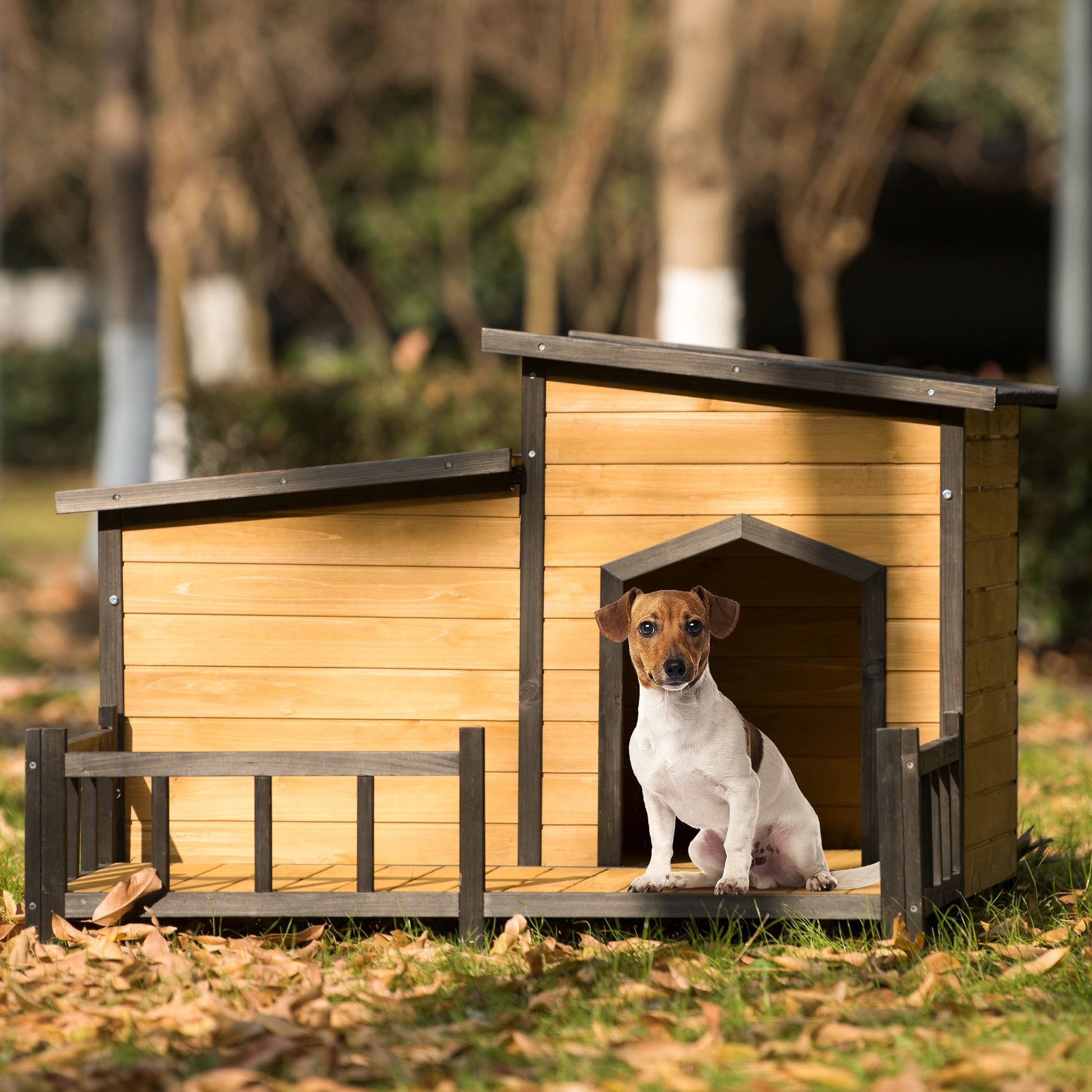 Modern Dog House, Fir Wood Construction & Asphalt Roof - mypreciousfurbabies