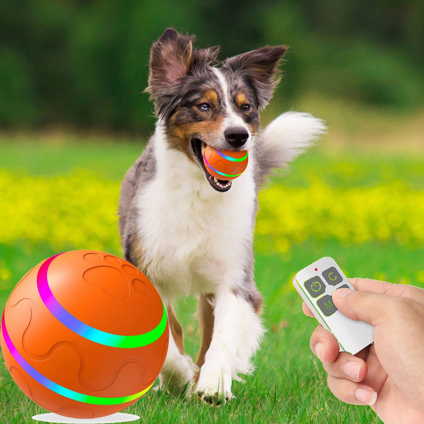 Pet Toy Ball Intelligent Interactive w/Remote Control & USB Charging Cable