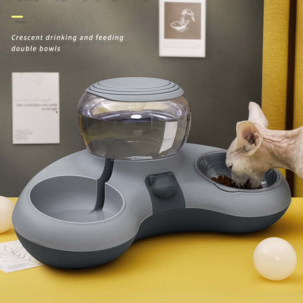 Automatic Drinking & Food Feeders for Kittens or Puppies - mypreciousfurbabies