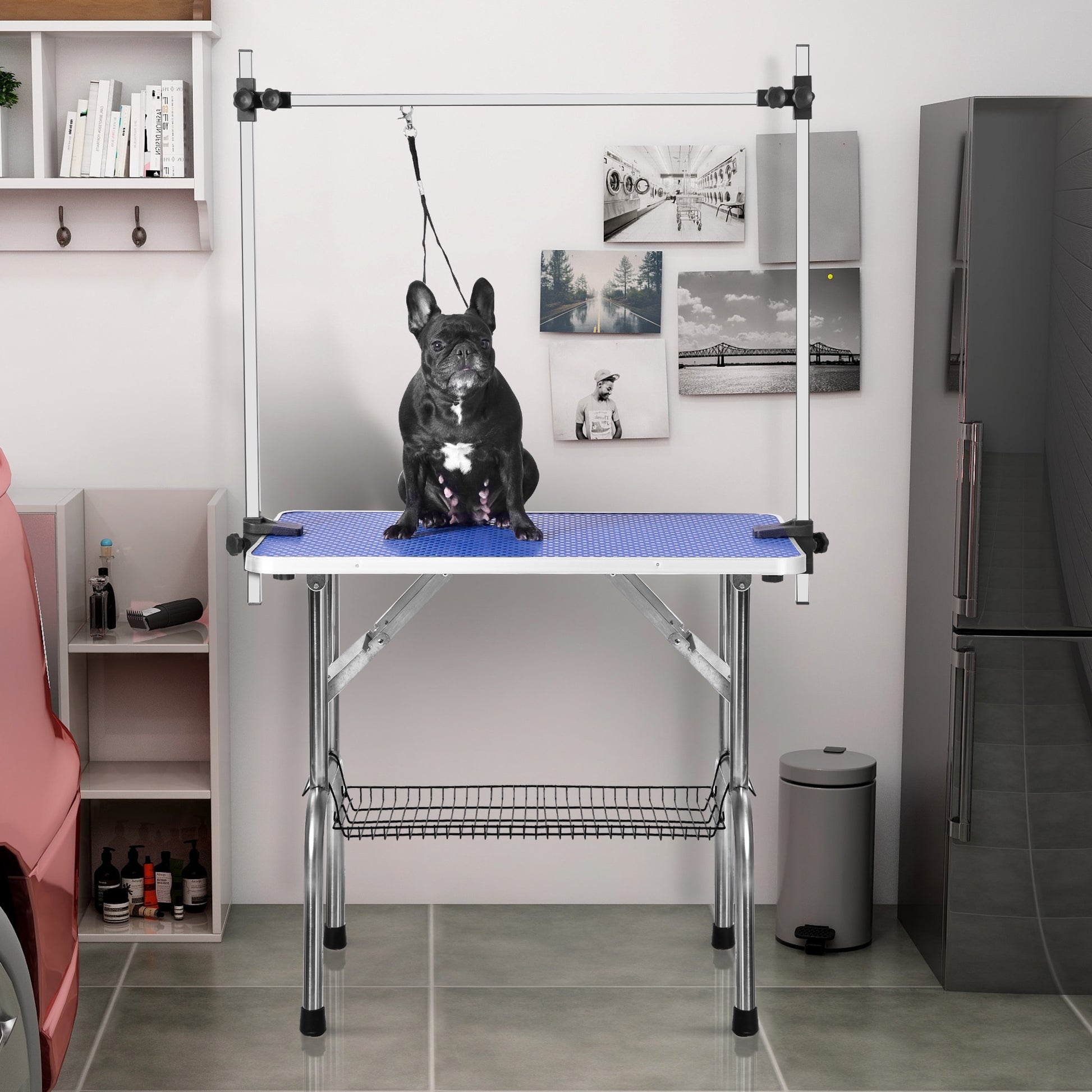 Large Pet HD Grooming Table w/Adjustable Arm & Positioning Clamps - mypreciousfurbabies