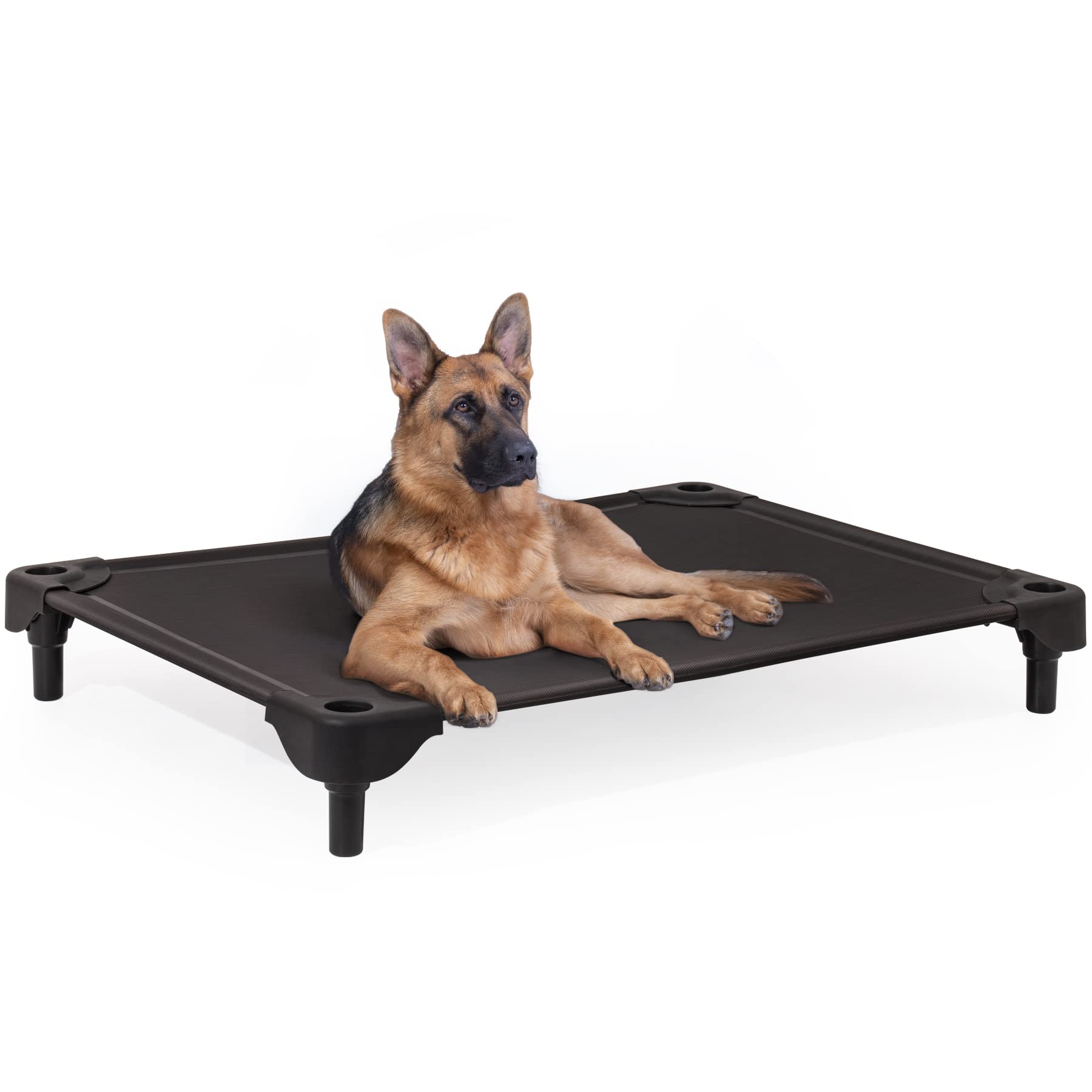 LG Indoor/Outdoor Elevated Dog Bed, Easy Clean, & Chew Proof - mypreciousfurbabies