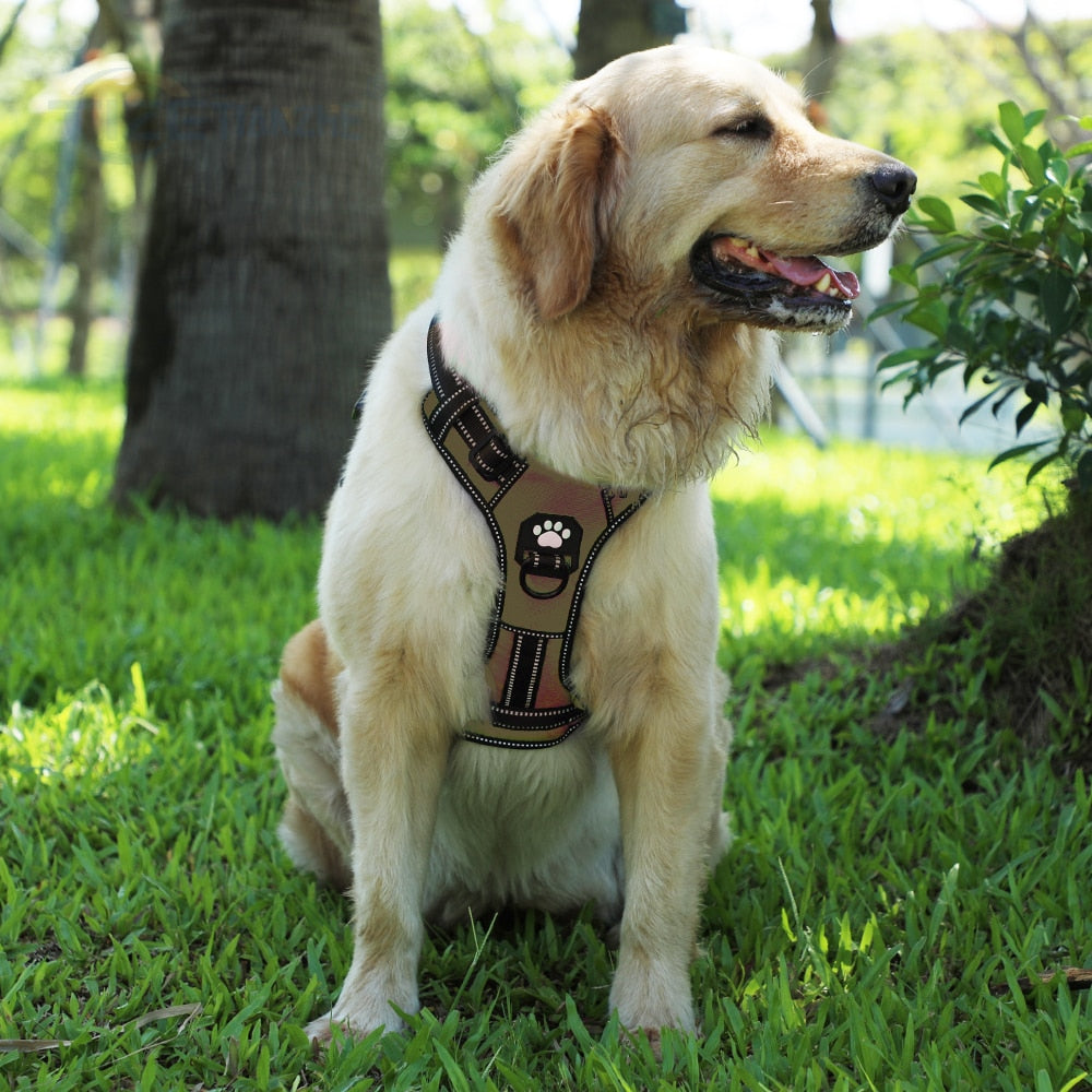 Pet Vest Harness, Soft Breathable, 4 Adj. Points, 4 Harnesses & Sizes, 3 Leashes