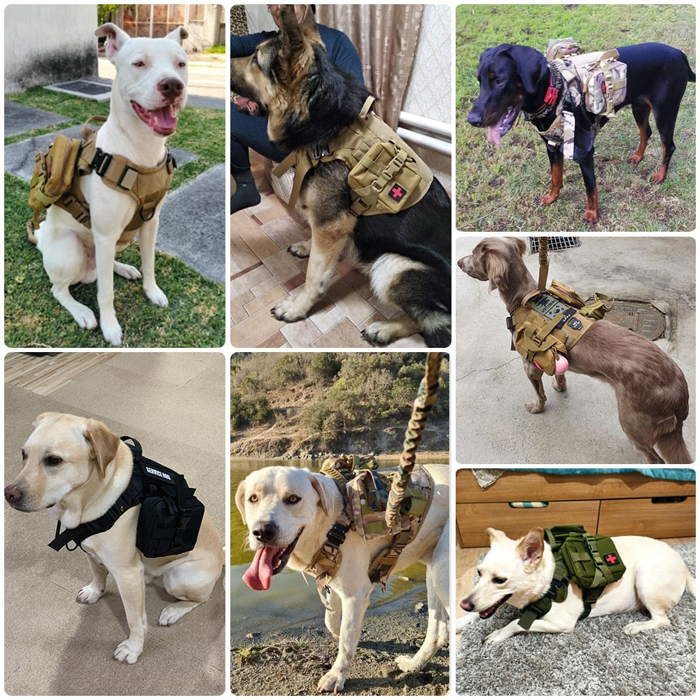 Dog Training Padded Adj. Vest/Harness & Leash Combinations - mypreciousfurbabies