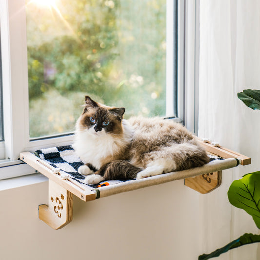 Cat Window Perches – mypreciousfurbabies