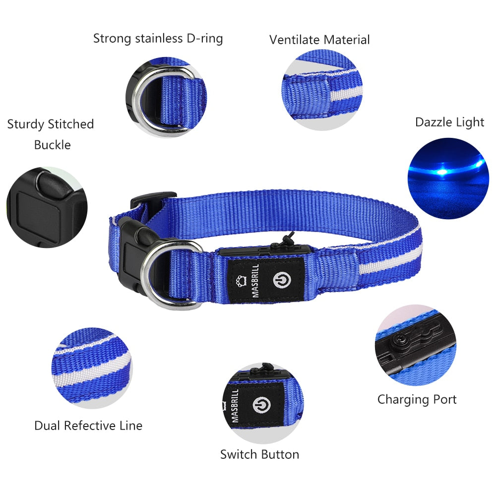 Pet LED Light-up & Blinking Collars, Rechargeable, Waterproof, 4 Sizes, 7 Colors