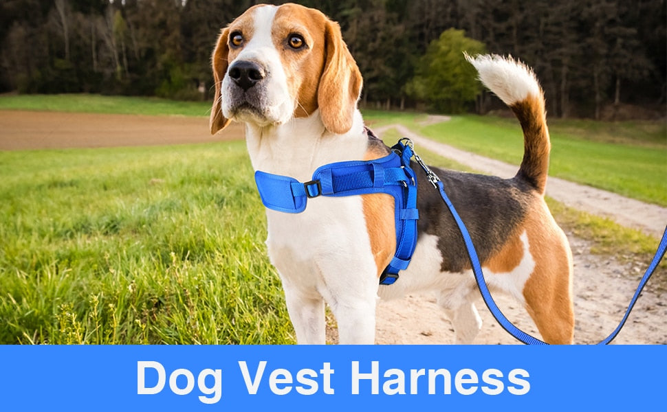 Pet Vest Harness, Soft Breathable, Easy Attach w/4 Adj. Points, 3 Sizes