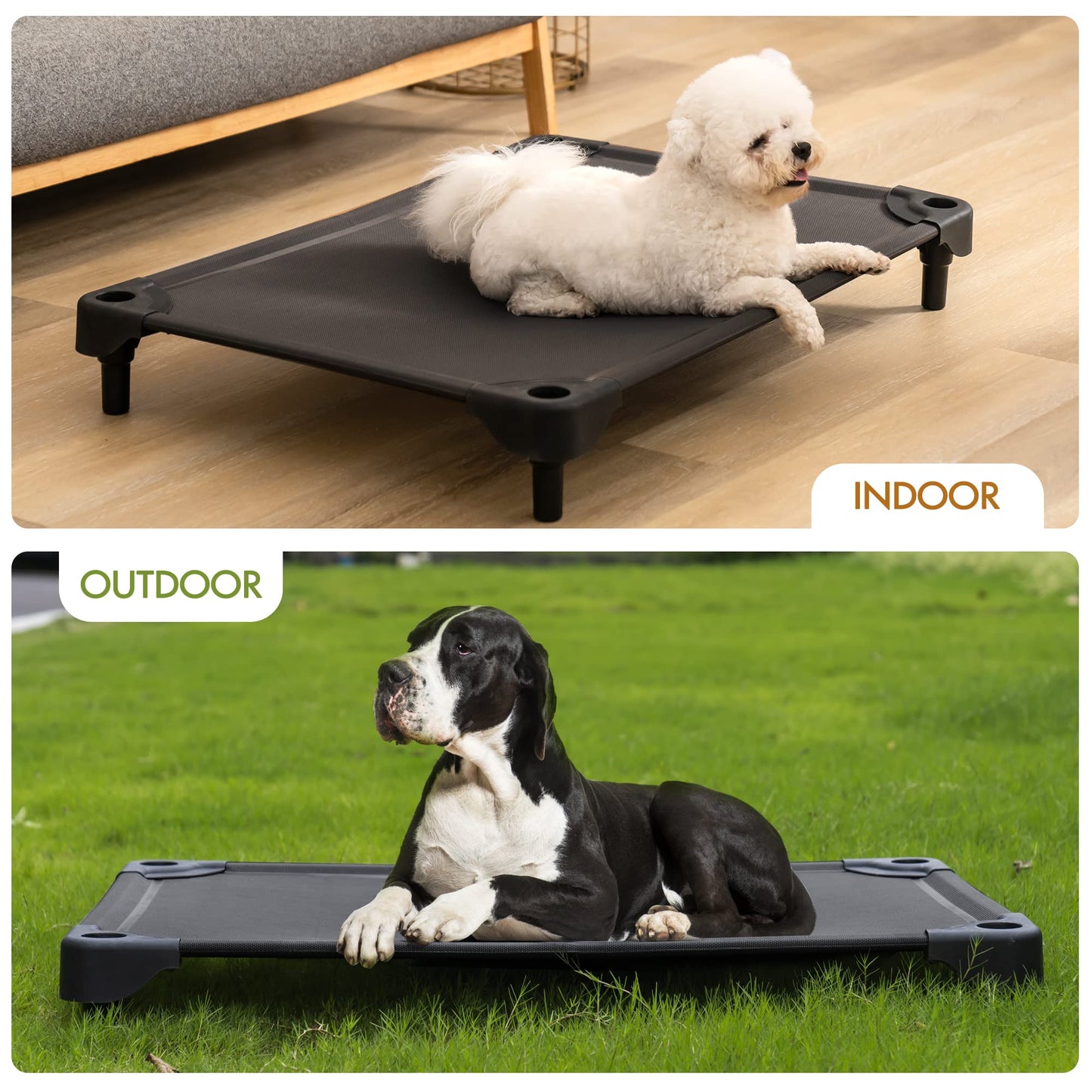 LG Indoor/Outdoor Elevated Dog Bed, Easy Clean, & Chew Proof - mypreciousfurbabies