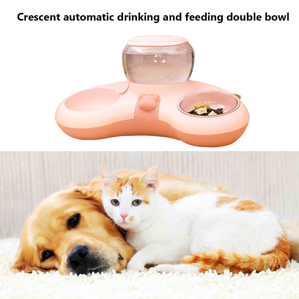 Automatic Drinking & Food Feeders for Kittens or Puppies - mypreciousfurbabies