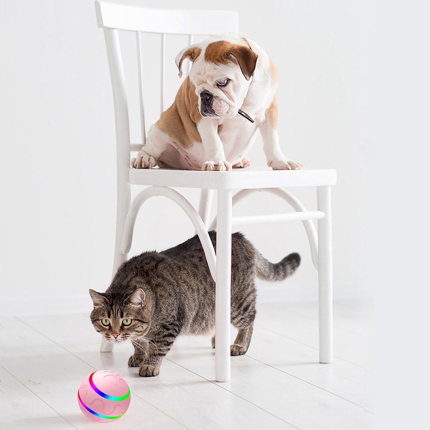 Pet Toy Ball Intelligent Interactive w/Remote Control & USB Charging Cable