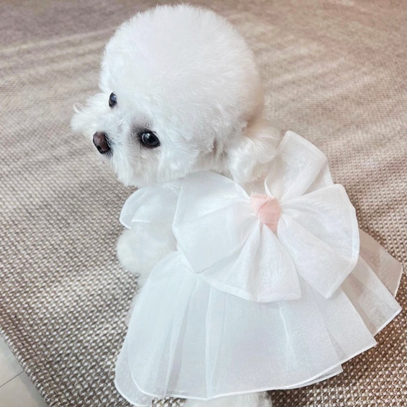 Elegant White Dog Wedding Dress With Matching Bow and Pink Ribbon