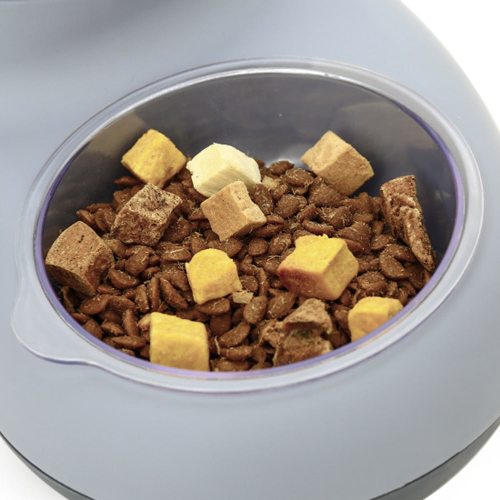 Automatic Drinking & Food Feeders for Kittens or Puppies - mypreciousfurbabies