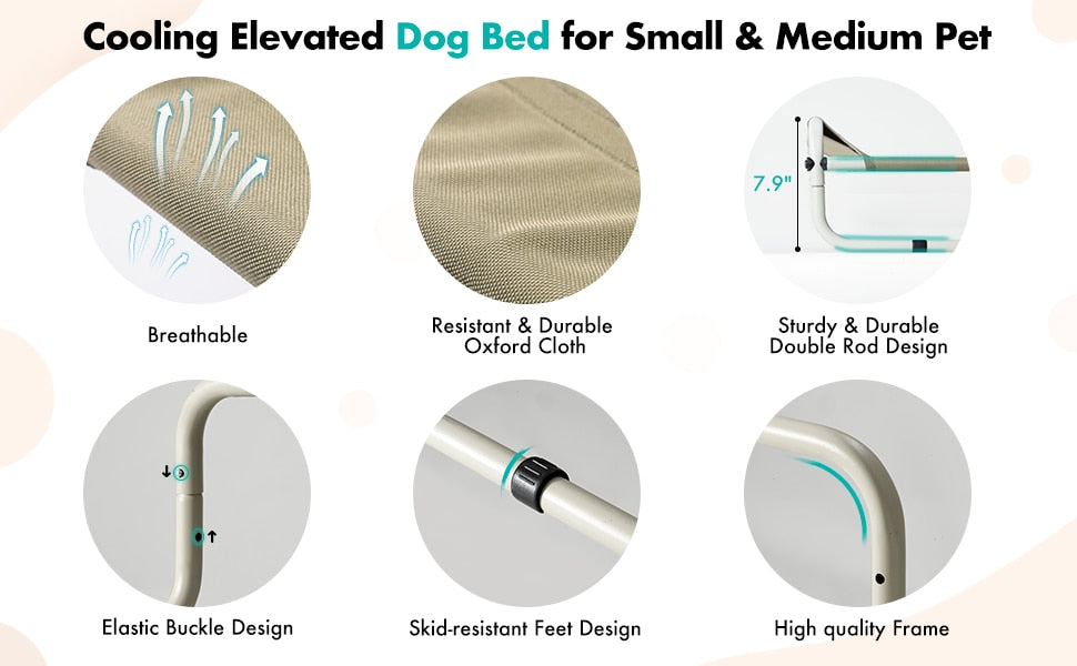 Elevated Dog Bed w/Skid-Resistant Feet, Easy Assy. & Cleaning - mypreciousfurbabies